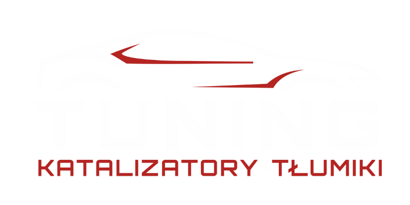 Tłumiki borek logo